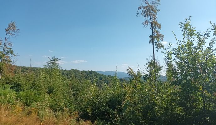 Foto 2 del percorso Bikemap "Lindelfeld"