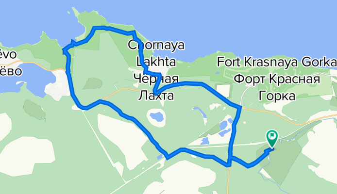 у серой лошади