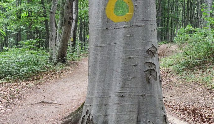 Zdjęcie 2 trasy Bikemap „Route from Strada Cerbului, Cluj-Napoca”
