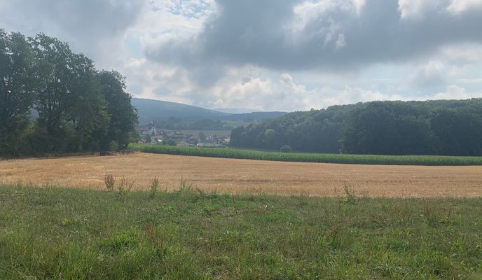 Photo 1 of the Bikemap route "MTB-11-Rhön Special Cup 2014-Petersberg"