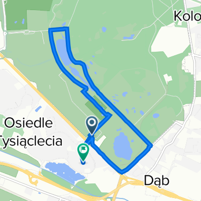 aleja Żyrafy, Chorzów do Piastów 10, Katowice