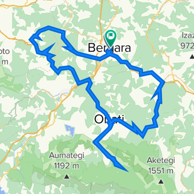 Bergara 6