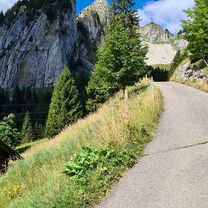 Foto 8 der Bikemap-Route "Schönried Rosegarte-Mittelberg-Euschelspass-Kalchstätten-Bern YB"