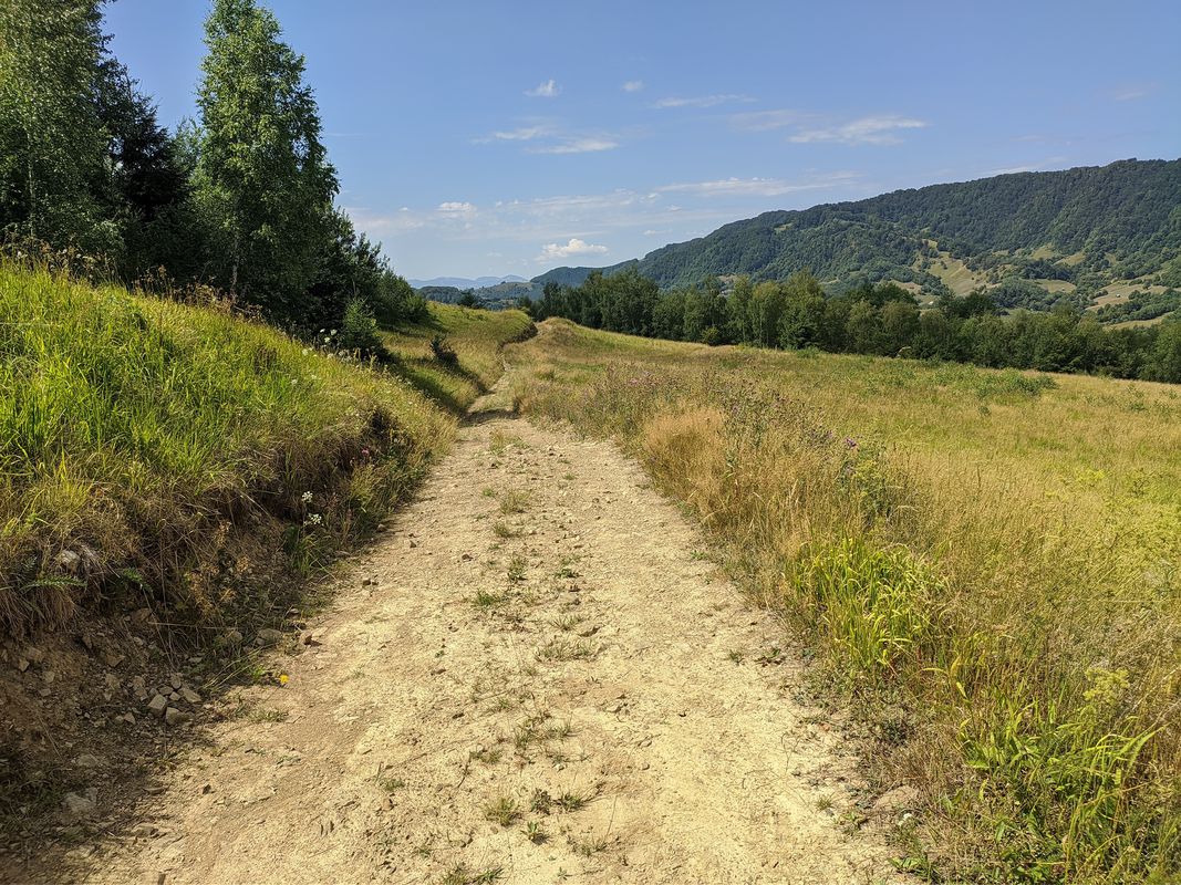 valea peștilor - valea vinului - borcut