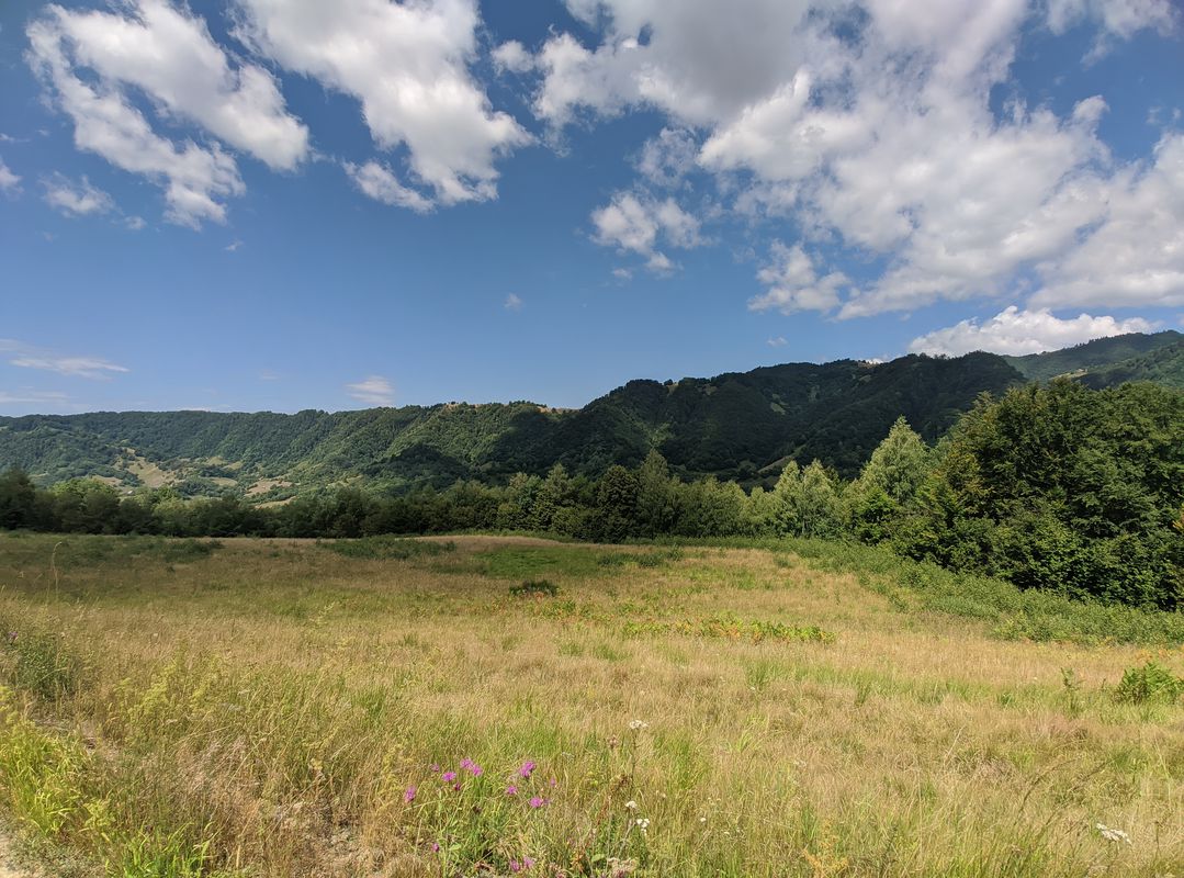 valea peștilor - valea vinului - borcut