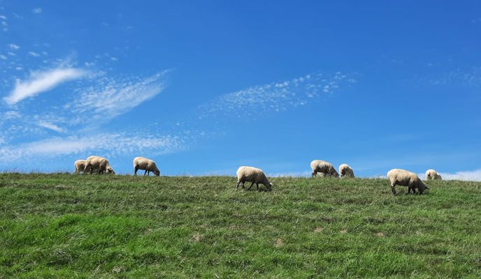 Foto 1 del percorso Bikemap "and +U-Bootbunker Valentin"