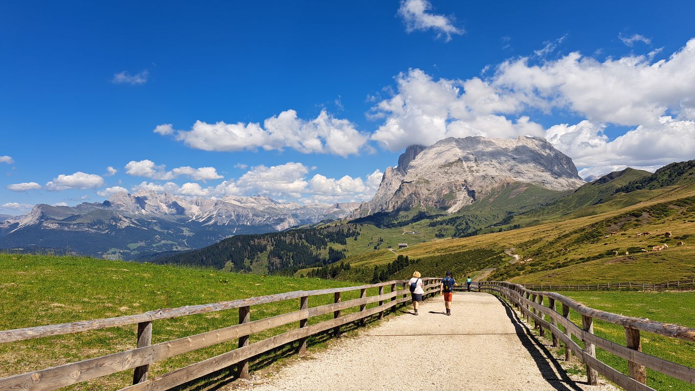 Dolomites 58, Campitello di Fassa to Piaz de Ciampedel 17, Campitello di Fassa