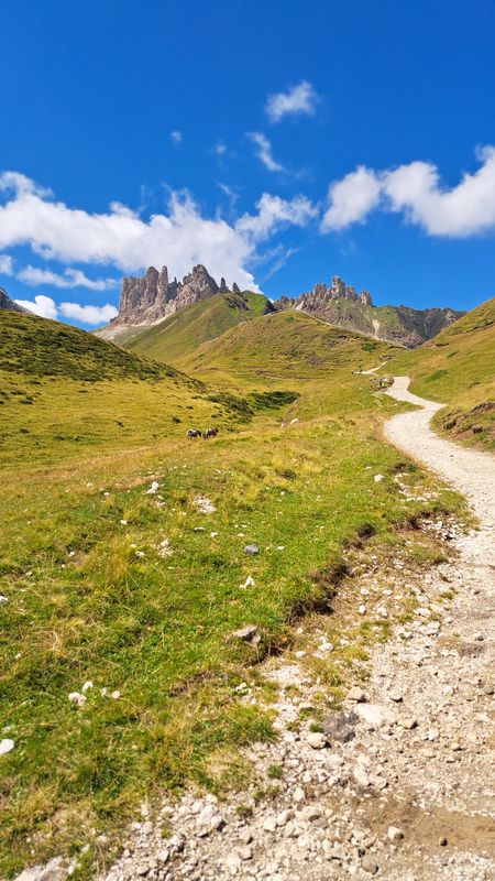 Dolomites 58, Campitello di Fassa to Piaz de Ciampedel 17, Campitello di Fassa
