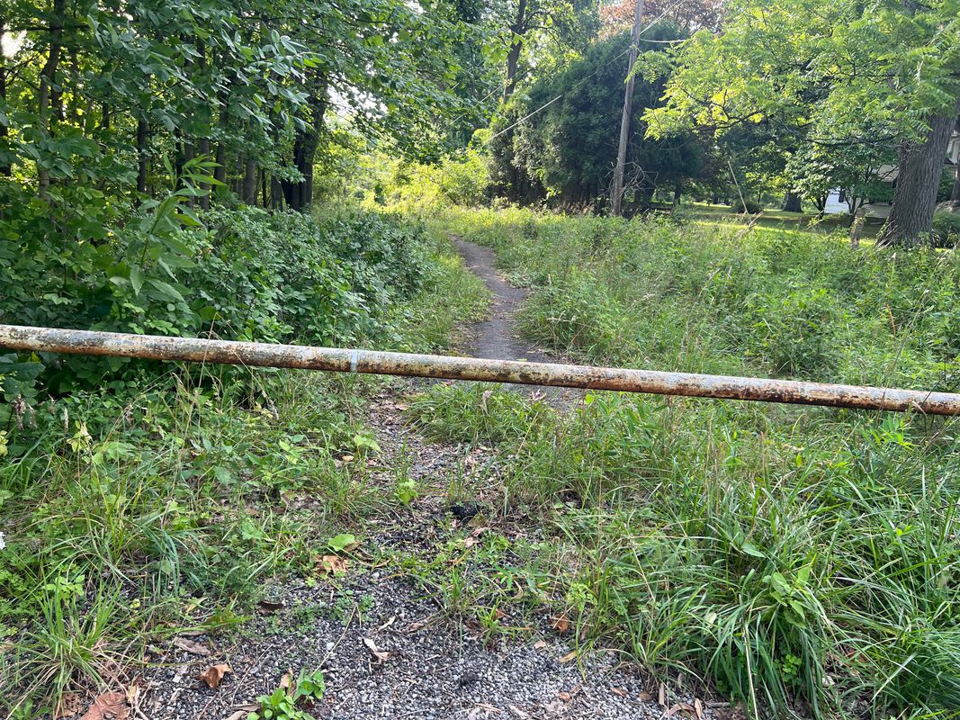 In/around Timber Ridge Campground