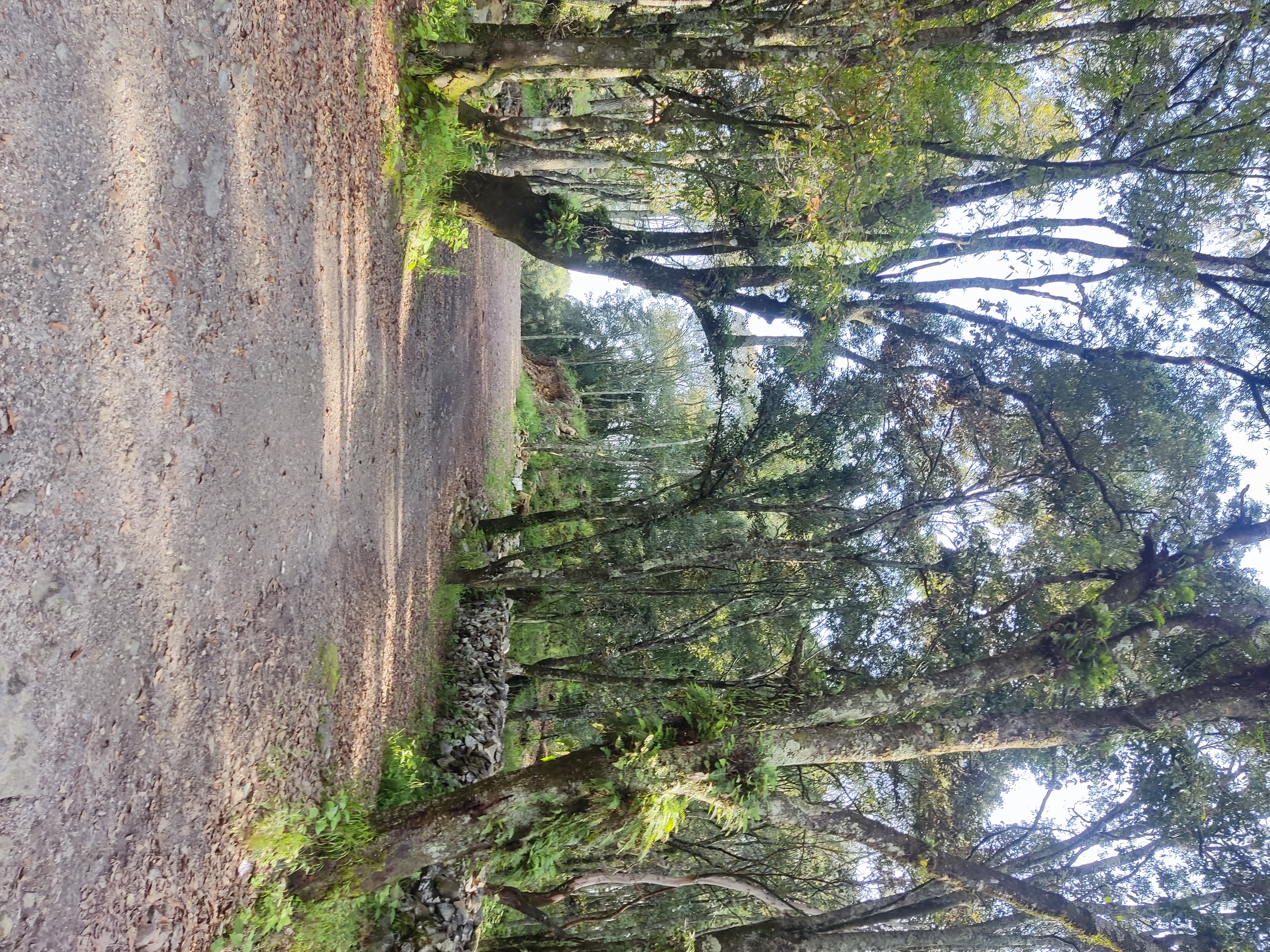 De Ocoyoacac a Ejido Ocoyoacac