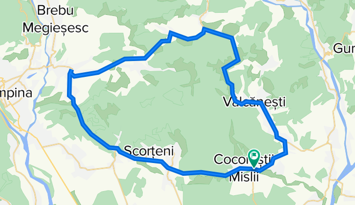 Cocorăștii Mislii - Telega