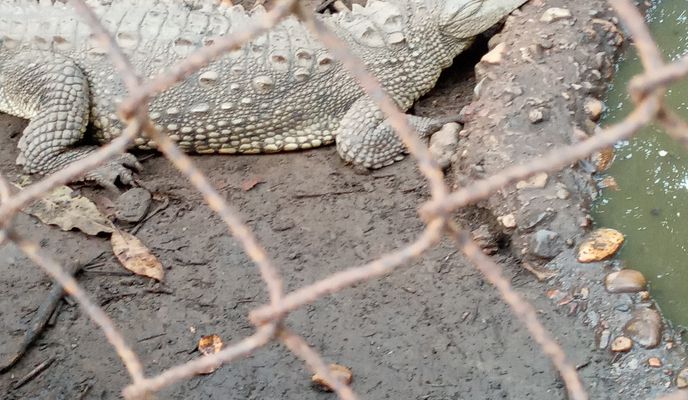 Foto 2 del percorso Bikemap "De Sixto Osuna 108, Villa Unión a Calle Jesús Carranza 207, Villa Unión"