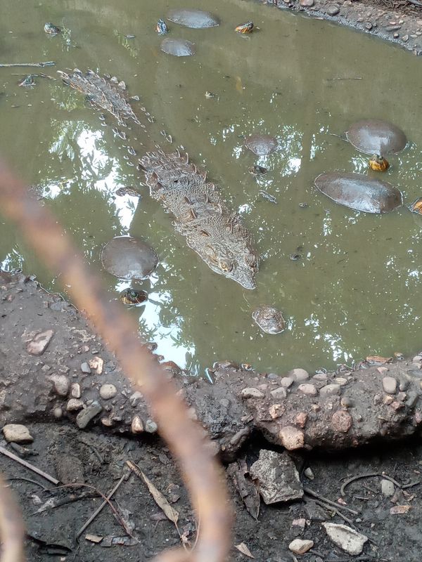 De Sixto Osuna 108, Villa Unión a Calle Jesús Carranza 207, Villa Unión