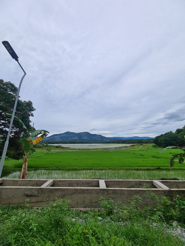 Conde Road 25a, Masinloc to Albright Street, Masinloc