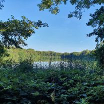 Brötchenrunde Allerheiligen