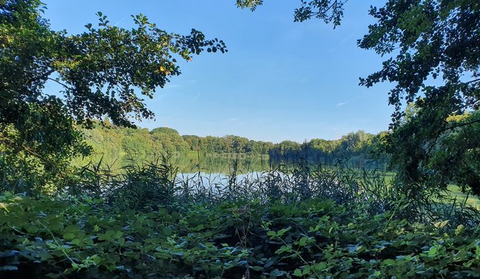 Foto 1 der Bikemap-Route "Brötchenrunde Allerheiligen" Foto 1 der Bikemap-Route "Brötchenrunde Allerheiligen"