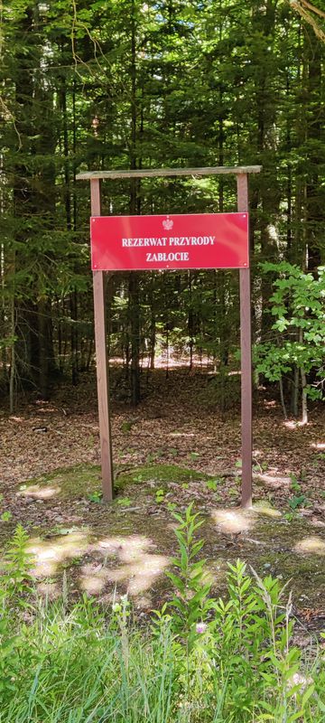 Pętla przez stawy w czarnej i rezerwat zabłocie