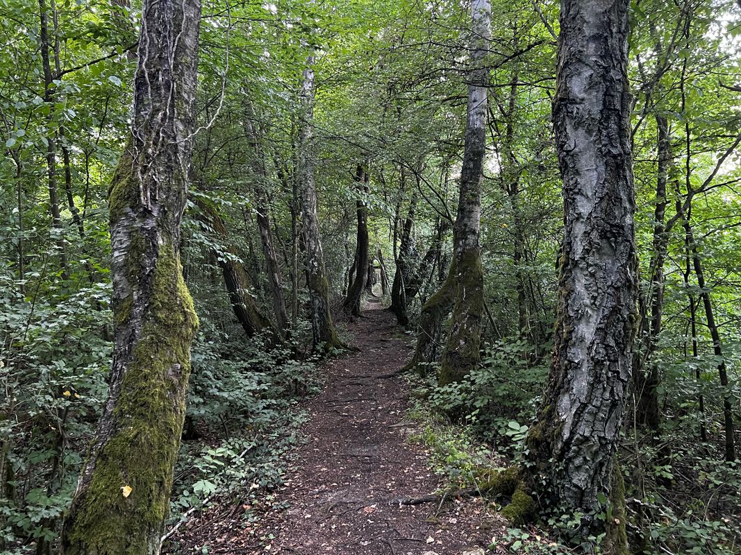 4B Rue de la Grotte, Lixing-lès-Rouhling à 12 Rue des Jardins, Lixing-lès-Rouhling