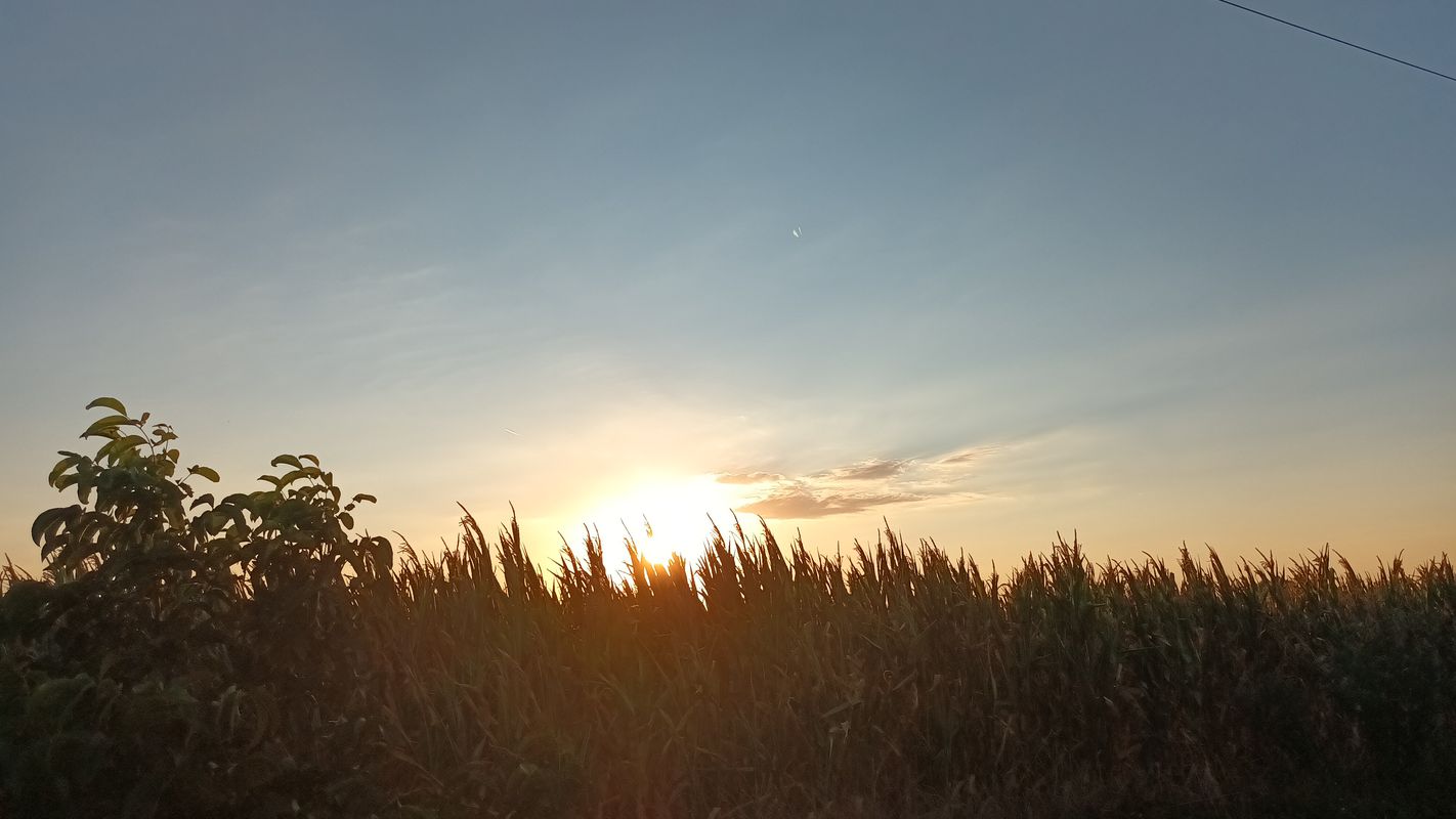 8452, Kemenesmihályfa - Kassa utca 2, Celldömölk