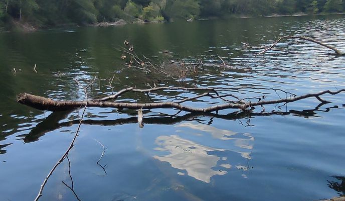 Zdjęcie 1 trasy Bikemap „Kalinowo do Kalinowo”