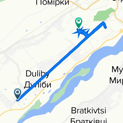 вулиця Тараса Шевченка, Дуліби to вулиця Саксаганського, Стрий