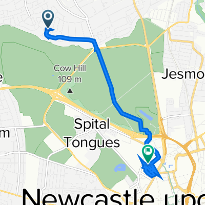 70 Montagu Ave, Newcastle Upon Tyne to Armstrong Lane, Newcastle upon Tyne