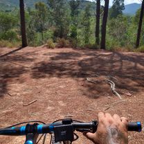 De Strada Sant'Aliana, Pula a Strada Sant'Aliana, Pula