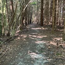 Mtb Runde von Peißenberg, Carl-Benz-Straße, über Ammerhöfe, runter zur Ammer und zurück