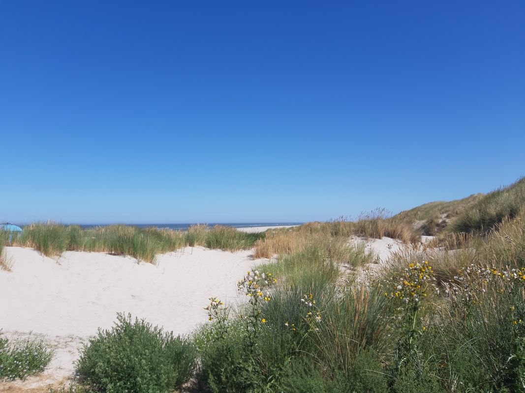 Langeoog
