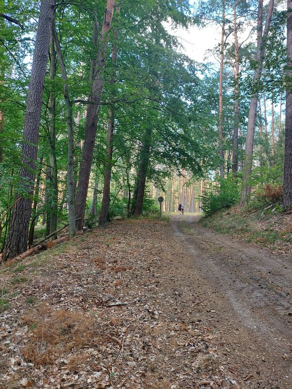 Trasa relaksacyjna 7 mostów:)