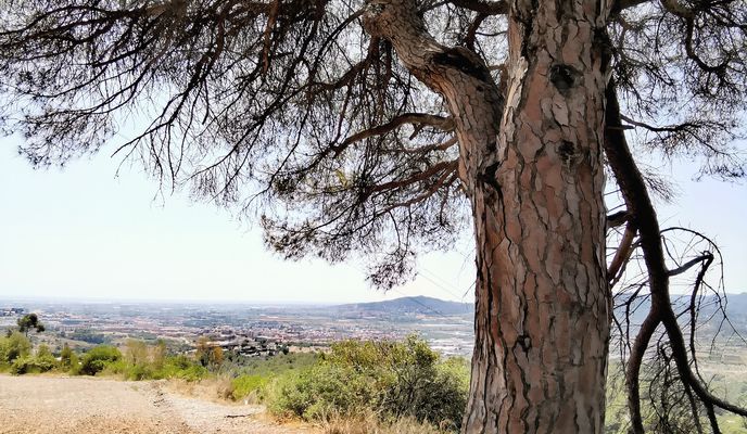 Foto 2 del percorso Bikemap "Carretera del Sanson, Sant Feliu de Llobregat do Passeig del Mare Nostrum 93, Barcelona" Foto 2 del percorso Bikemap "Carretera del Sanson, Sant Feliu de Llobregat do Passeig del Mare Nostrum 93, Barcelona"