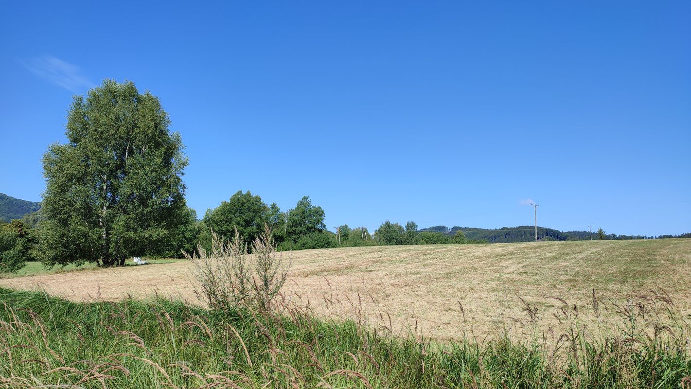 Bohaterów Getta 8a, Głuszyca do Niecała 2, Głuszyca