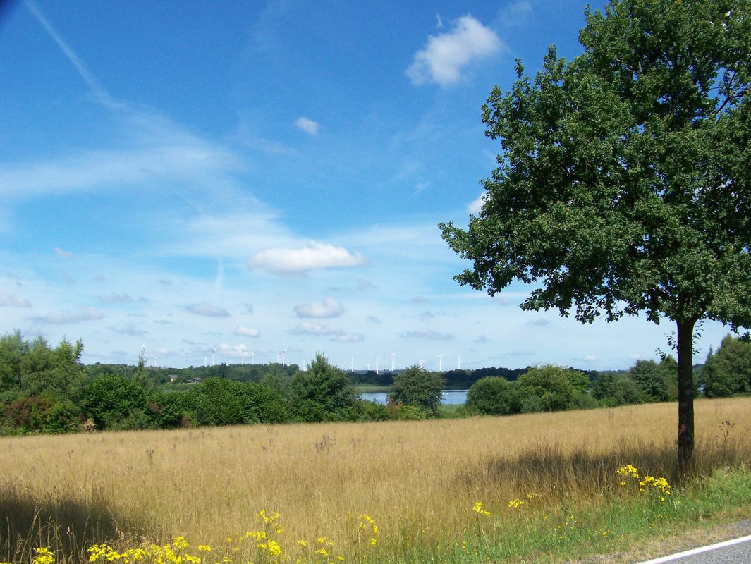 Wied, Herschbach, Dreifelden, Hachenburg, Wied nach Talstraße 6, Wied