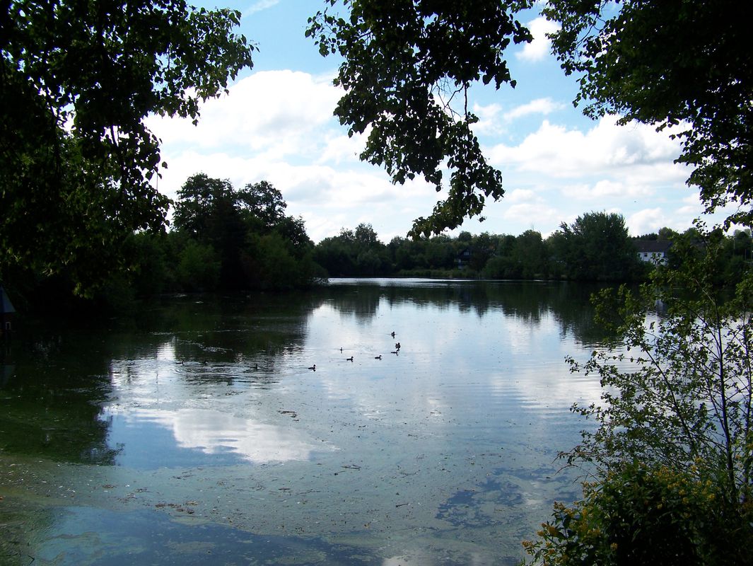 Wied, Herschbach, Dreifelden, Hachenburg, Wied nach Talstraße 6, Wied