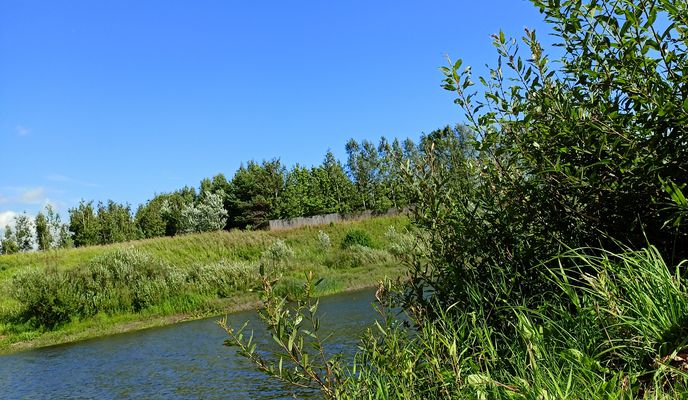 Zdjęcie 2 trasy Bikemap „От улица Текстильщиков 21В, Вологда до Пушкинская улица 18, Вологда”