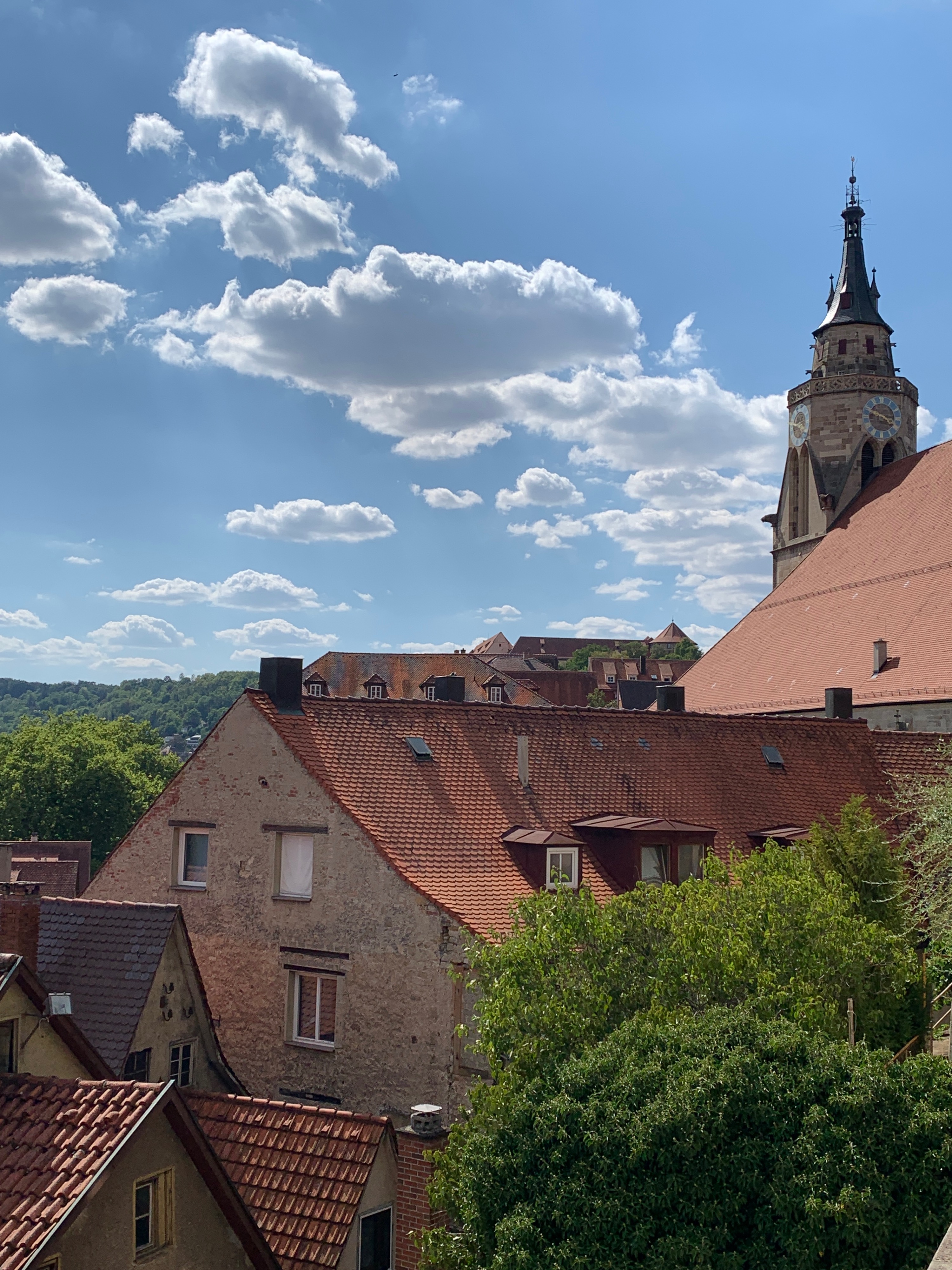 20228012 Tübingen a