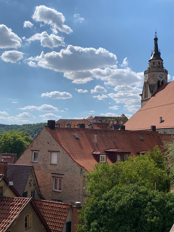 20228012 Tübingen a