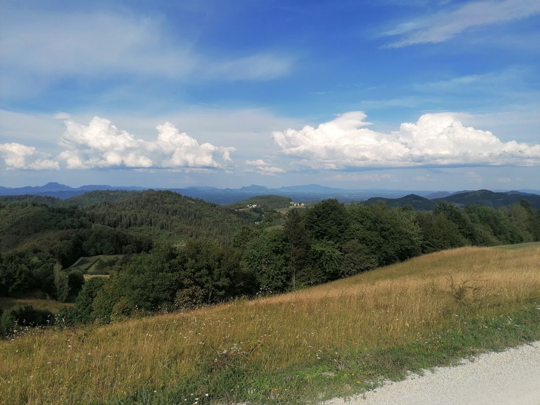 Senovo Ravni log Restanj Senovo