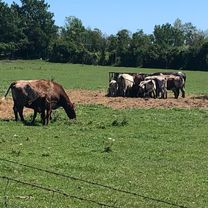 Waterfront Trail - Bowmanville to Port Hope and back