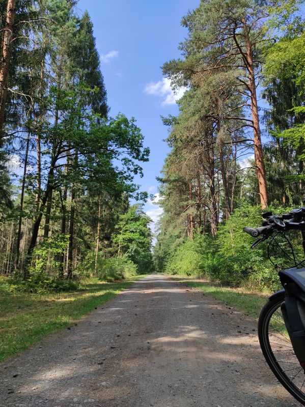 Hüttensee Rundkurs
