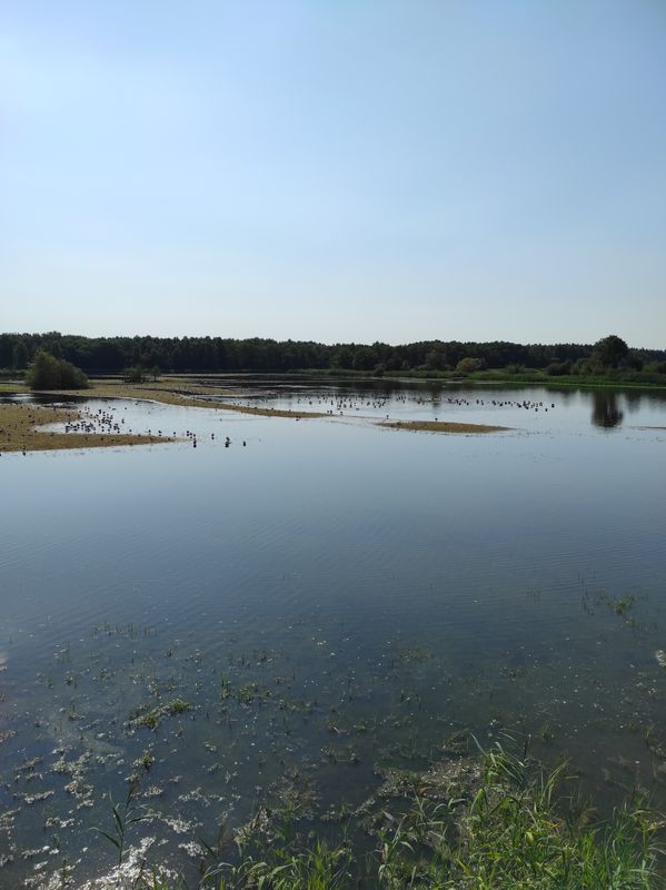 Hüttensee Rundkurs