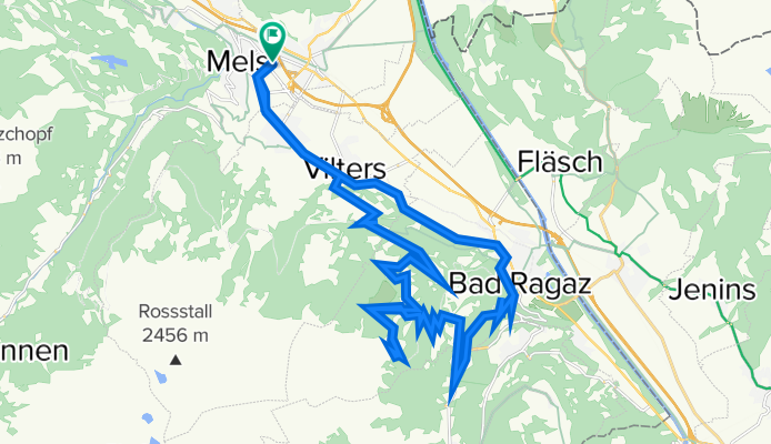 Mels-Targön-Paediel-Taminabrücke-Ragaz-Wangs-Mels