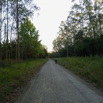 Treino final de tarde!
