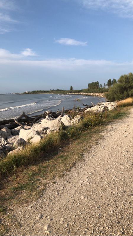 Nazioni, Bosco Mesola, Goro