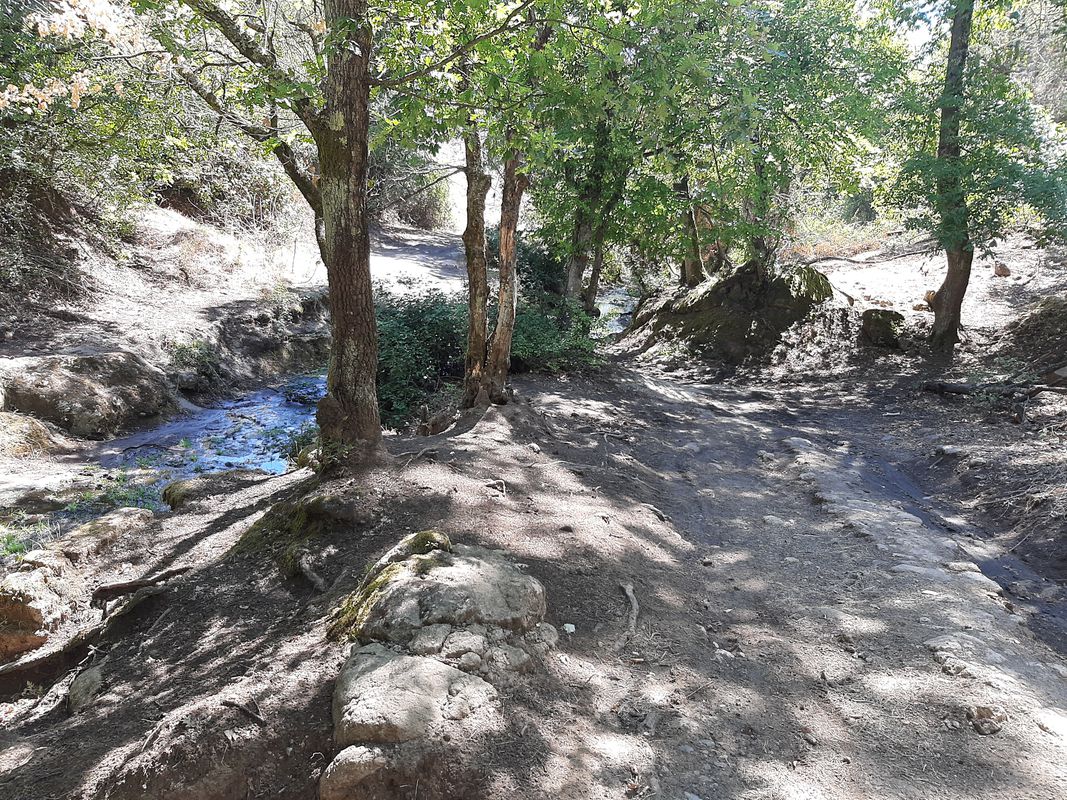 Da Via Monte la Pera 8A, Castelnuovo di Porto a Via Monte la Pera 8A, Castelnuovo di Porto