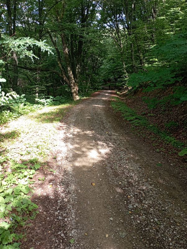 Gen. Prądzyńskiego 26, Przemyśl do Marcina Bielskiego 66, Przemyśl