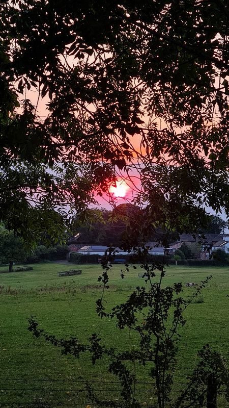 Westminster Road 19 to Buckfast Close 47