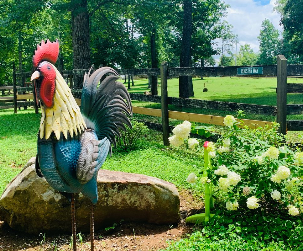 Lakeland / Beals Chapel / Northshore Loop