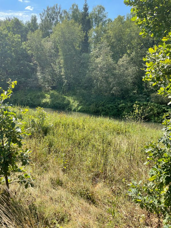 Снт Утро Территория, 185, Муниципальный Район Щелковский до Снт Утро Территория, 182, Муниципальный Район Щелковский