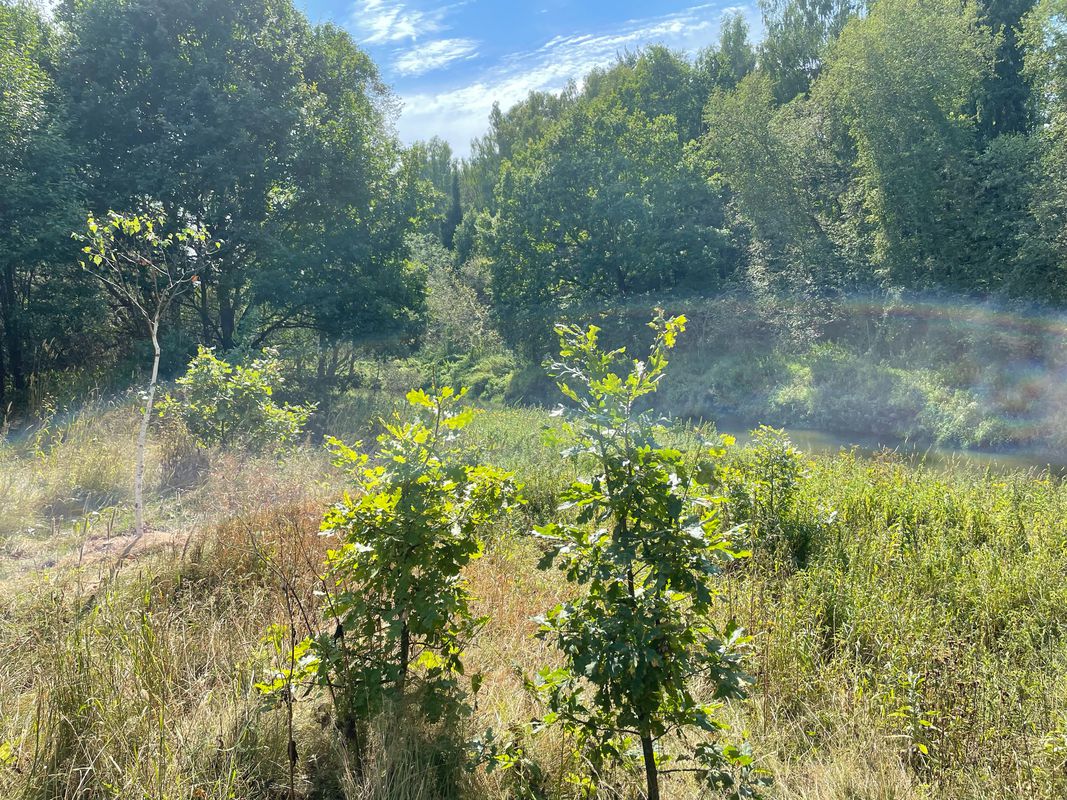 Снт Утро Территория, 185, Муниципальный Район Щелковский до Снт Утро Территория, 182, Муниципальный Район Щелковский